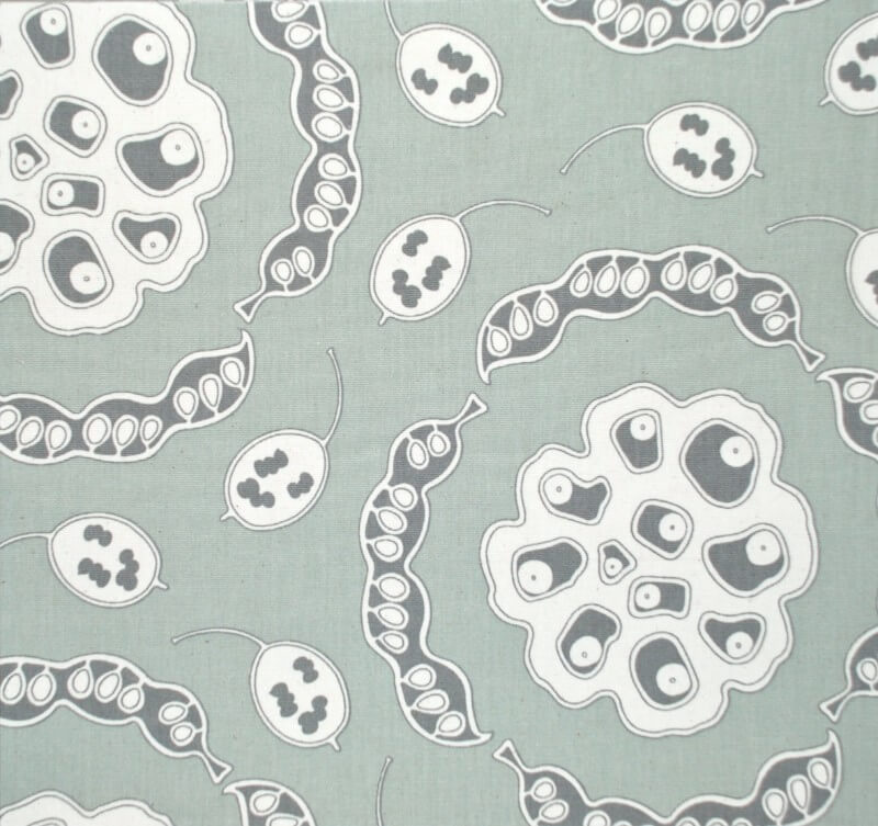 Cottonberry Fabcote Wall covering Organics Collection 1